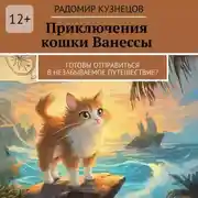 Постер книги Приключения кошки Ванессы