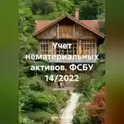 Постер книги Учет нематериальных активов. ФСБУ 14/2022