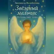 Постер книги Звездный мальчик. Путешествие души