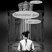 Постер книги Переплетённые души