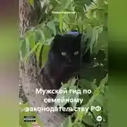 Постер книги Мужской гид по семейному законодательству