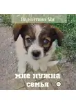 Валентина Ми - Мне нужна семья…