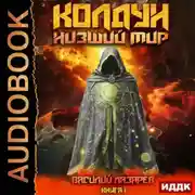Постер книги Колдун. Книга 1. Низший мир