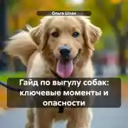 Постер книги Гайд по выгулу собак: ключевые моменты и опасности