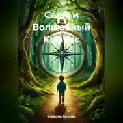 Постер книги Саша и Волшебный Компас.