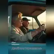 Постер книги Двойное управление