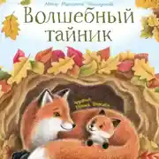 Постер книги Волшебный тайник
