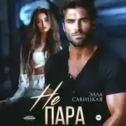 Постер книги Не пара