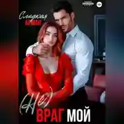 Постер книги (Не)Враг мой