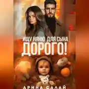 Постер книги Ищу няню для сына. Дорого!