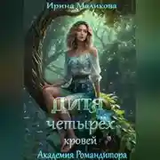 Постер книги Дитя четырёх кровей