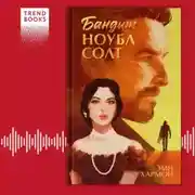 Постер книги Бандит Ноубл Солт