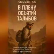 Постер книги В плену объятий талибов
