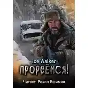 Постер книги Прорвёмся!