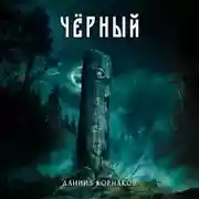 Постер книги Чёрный