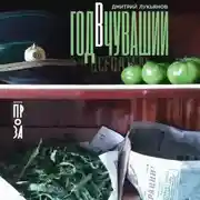 Постер книги Год в Чувашии