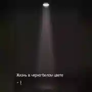 Постер книги Жизнь в черно-белом цвете