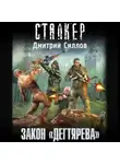 Дмитрий Силлов - Закон «Дегтярева»