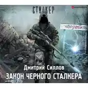 Постер книги Закон Черного сталкера