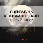 Постер книги Серый фетр