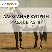 Постер книги Илья Бырдин