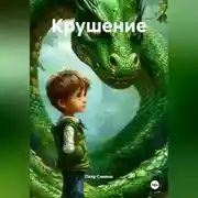 Постер книги Крушение