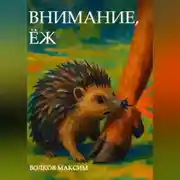 Постер книги Внимание, Ёж