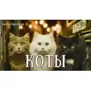 Постер книги Коты
