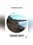 Валерий Бронников - Тихий омут