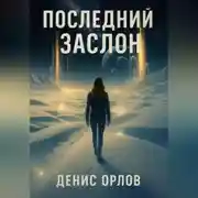 Постер книги Последний заслон
