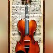 Постер книги От классики до фолка: Самоучитель игры на скрипке