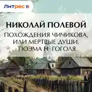 Постер книги Похождения Чичикова, или мертвые души. Поэма Н. Гоголя