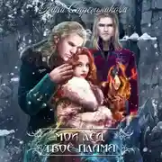 Постер книги Мой лёд, твоё пламя
