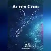 Постер книги Ангел Стив