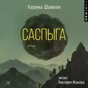 Постер книги Саспыга