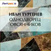 Постер книги Однодворец Овсянников