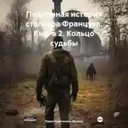 Постер книги Подлинная история сталкера Француза. Книга 2. Кольцо судьбы