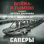 Постер книги Саперы