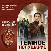 Постер книги Темное полушарие