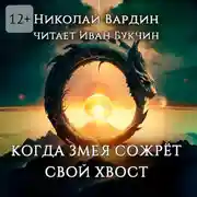 Постер книги Когда змея сожрёт свой хвост