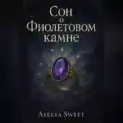 Постер книги Сон о Фиолетовом камне