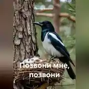 Постер книги Позвони мне, позвони