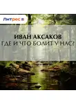 Иван Аксаков - Где и что болит у нас?