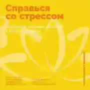 Постер книги Справься со стрессом: Управление сильными эмоциями в тяжелые моменты