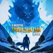 Постер книги Тринадцатый. Том VIII