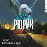 Постер книги Рюрик