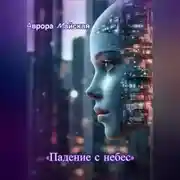 Постер книги Падение с небес