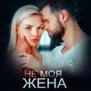 Постер книги Не моя жена