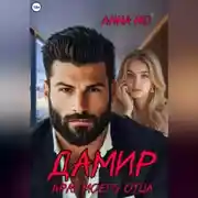 Постер книги Дамир. Враг моего отца