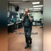Постер книги Дефективный